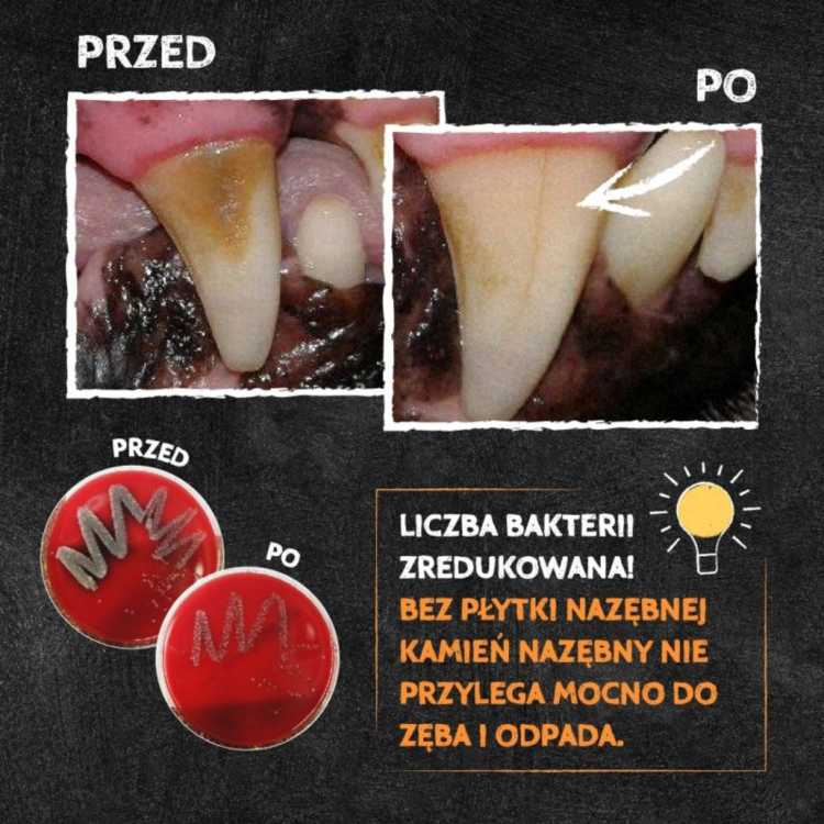 QCHEFS-jak-dzialaja-przysmaki-dla-psow-do-higieny-jamy-ustnej.png