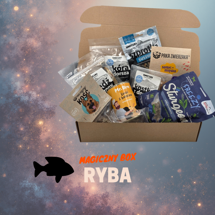 Magiczny-box-ryba-wyjatkowa-paczka-z-produktami-premium-dla-psow.png