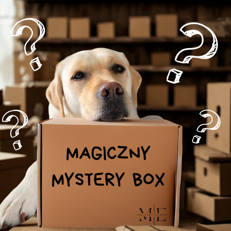 Magiczny-mystery-box-persolalizowana-paczka-niespodzianka-dla-psa.png