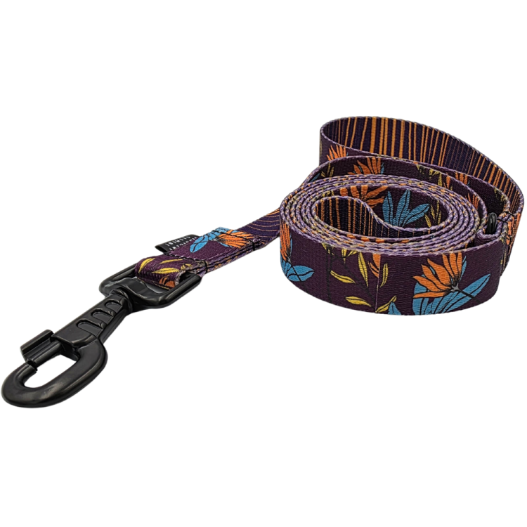 Smycz-miejska-dla-psa-fioletowa-w-kwiaty-Flores-and-Rayas.png