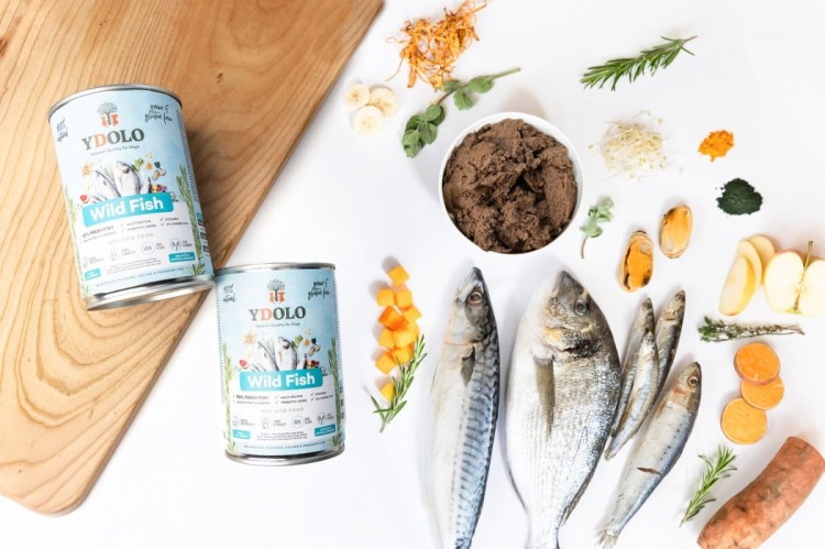 YDOLO-Wild-Fish-ryby-morskie-mokra-karma-dla-psa-400g_.jpg