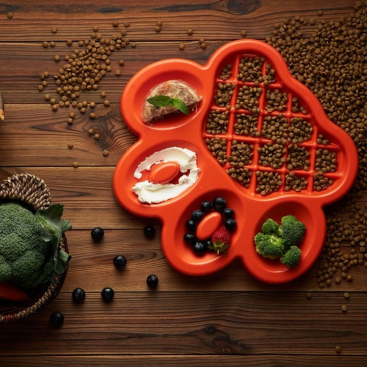 PetDreamHouse-Paw-Slow-Feeder-Easy-miska-spowalniająca-jedzenie-dla-psa.png