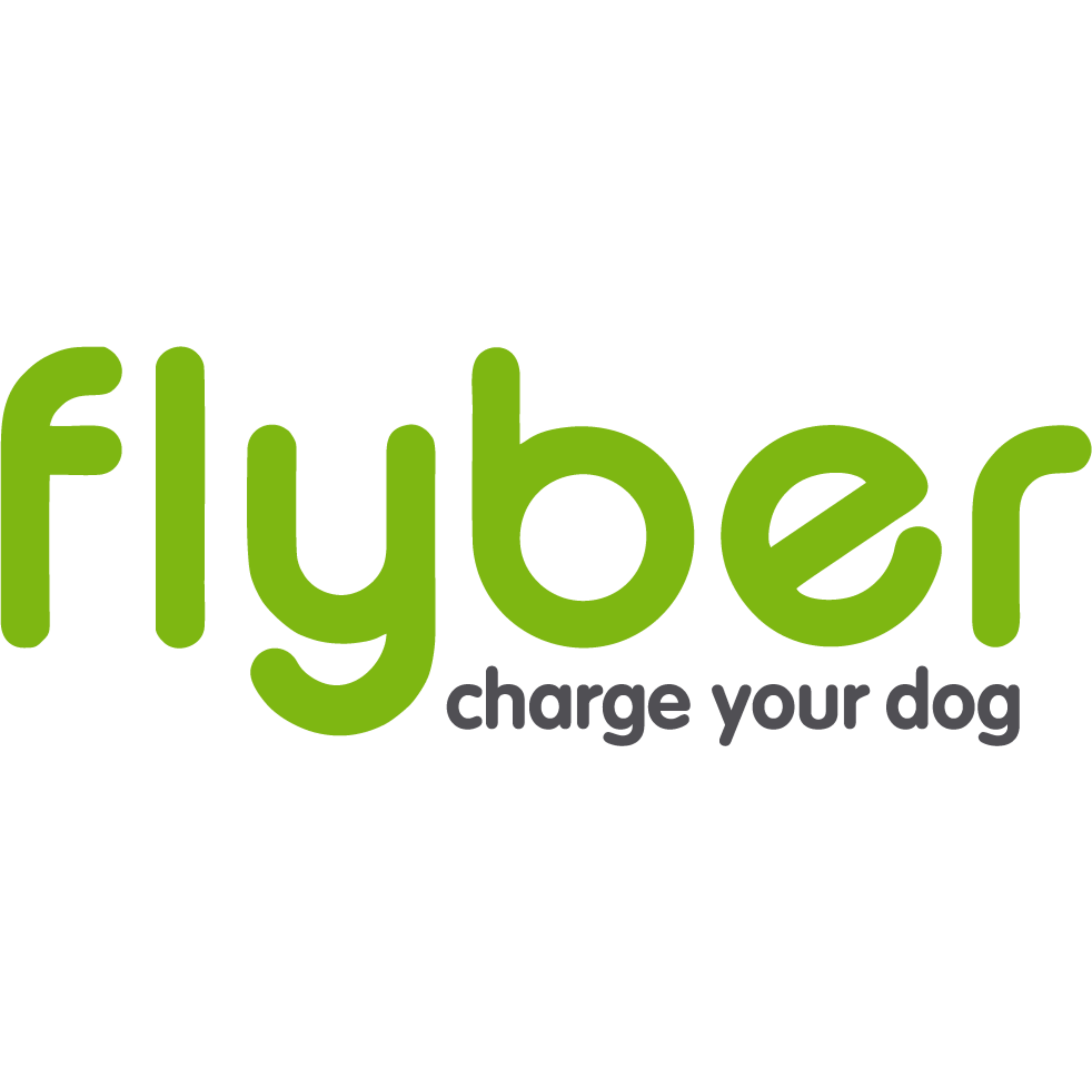 Producent: Flyber (przejdź do produktów)